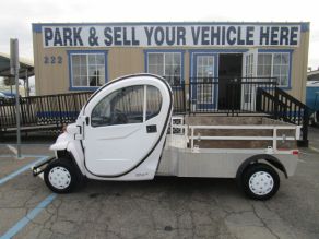 2015 GEM Electric Utility Cart