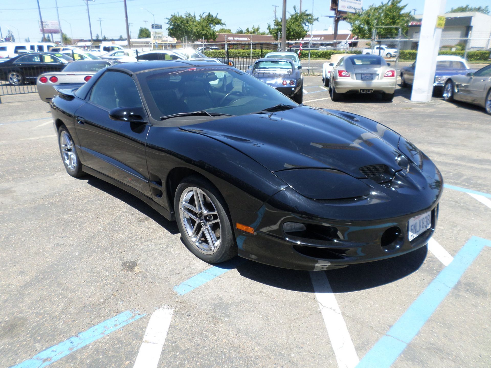 Car for sale: 2002 Pontiac Firebird Trans Am SLP Firehawk in Lodi