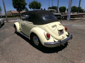 1969 Volkswagen Bug Convertible Photo 3