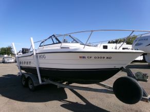 1994 Bayliner Cuddy Cabin Trophy Fish Hog Photo 2