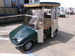 2001 Western 42 Volt Golf Cart Photo 2