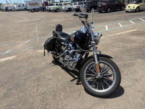 2002 Harley Davidson Sportster 1200  Motorcycle Photo 6