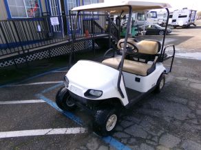 2015 EZ-GO TXT Golf Cart Gas Photo 2
