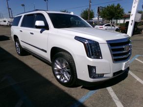 2018 Cadillac Escalade ESV Luxury Edition Photo 2