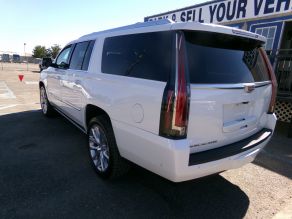 2018 Cadillac Escalade ESV Luxury Edition Photo 3