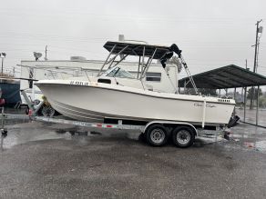 1988 Chris Craft Sea Hawk Cuddy Cabin I O
